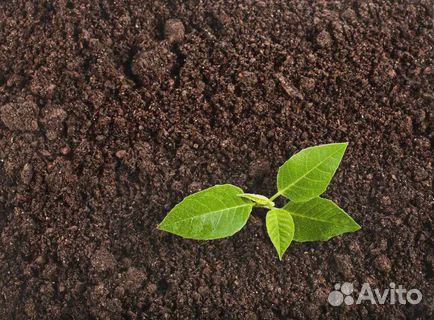 Земля плодородная,торф,чернозем
