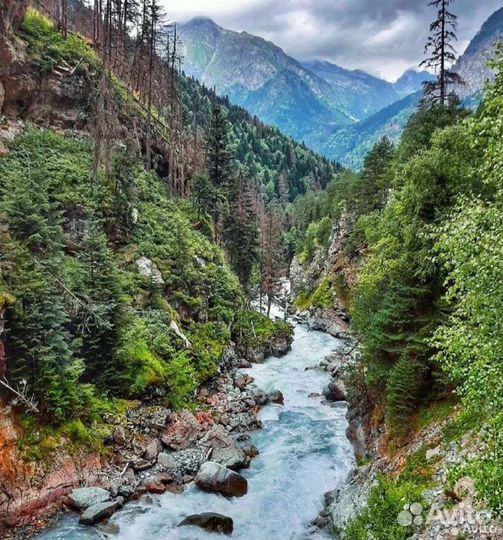 Путешествия из Пятигорска Бермамыт,Джылысу, Домбай