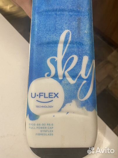 Горные лыжи Elan Sky 120