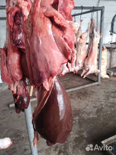 Бараний ливер