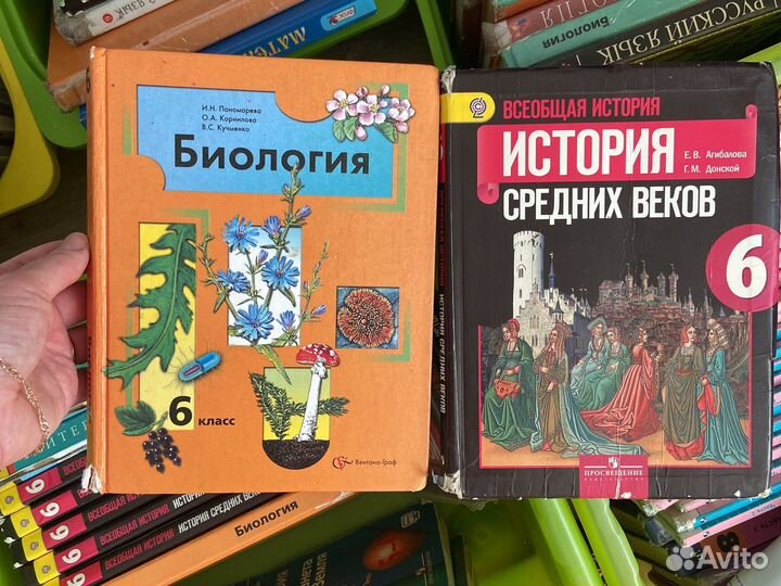 Учебник русский язык 6 класс разумовская