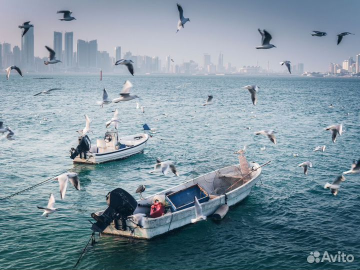 Voyage в Манаму 7 дн