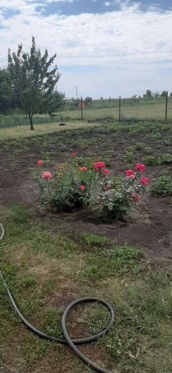 Дом 80 м² на участке 44 сот.