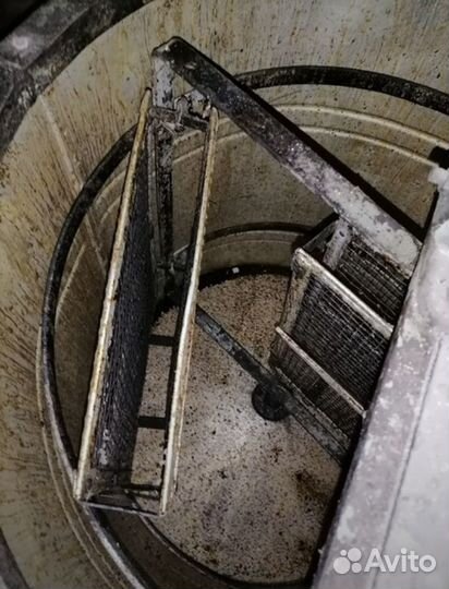 Медогонка бу