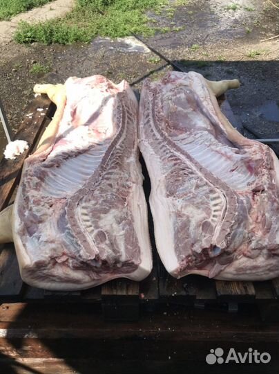Мясо Свинины 100% домашнее