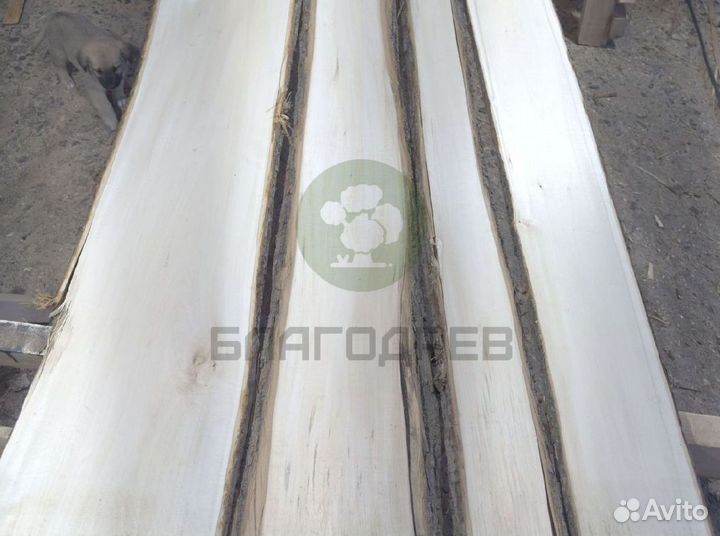 Липа доска любые размеры