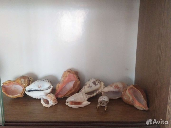 Сувениры СССР