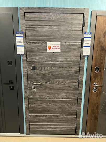 Дверь металлическая Тиара (Монтаж в подарок)