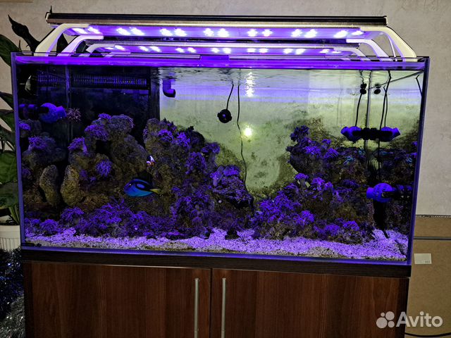 Продам морской аквариум