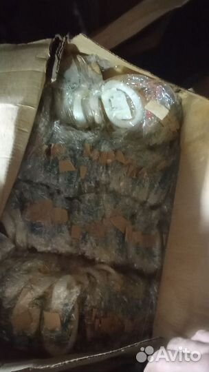 Леска рыболовная