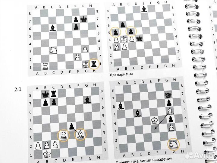 Шахматы с Енотом 1,2,3