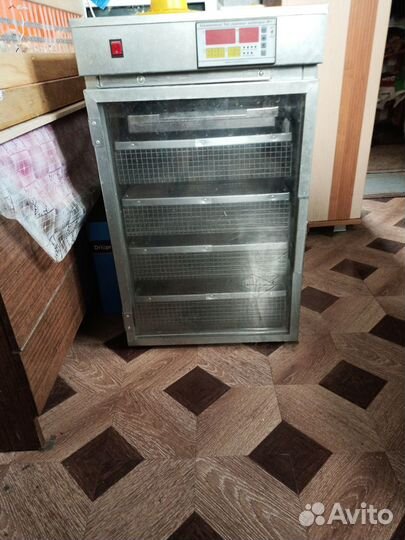 Выводной инкубатор