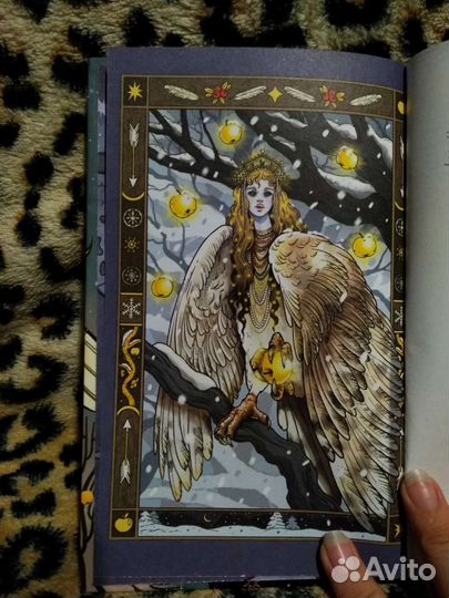 Анастасия Андрианова 