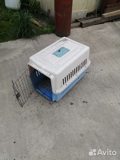 Сабачая будка