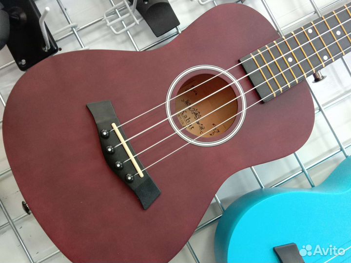 Укулеле концерт 23