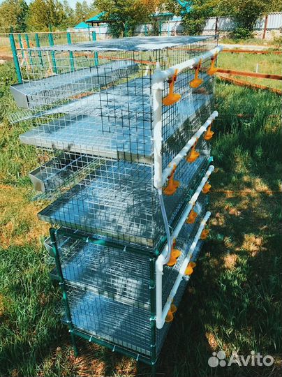 Клетка доя перепелов