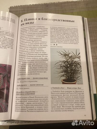 Комнатные растения Энциклопедия