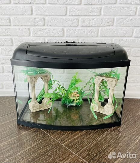 Аквариум с декором