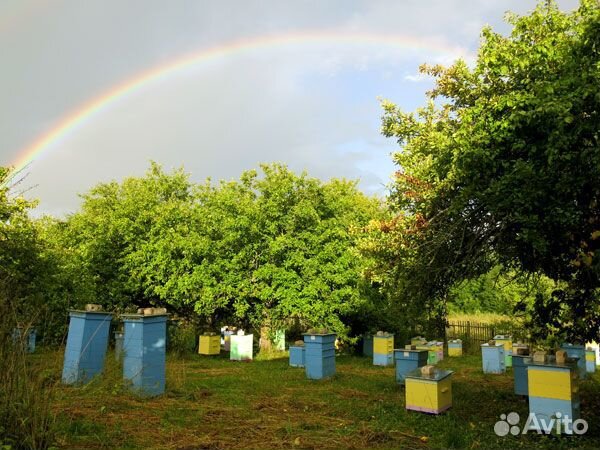 Воск пчелиный натуральный. Двойная очистка