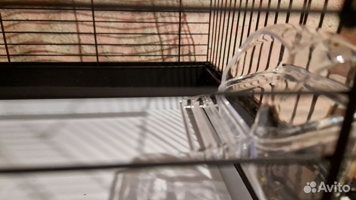 Клетка для среднего попугая