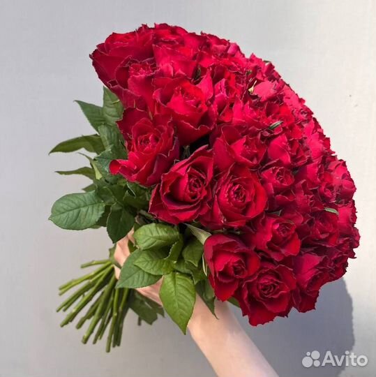 51 роза. Розы 40 см. Букеты. Доставка Калининград