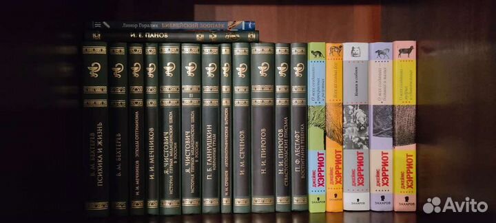 Интеллектуальная литература