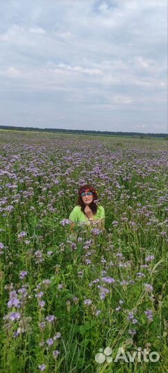 Продукты питания