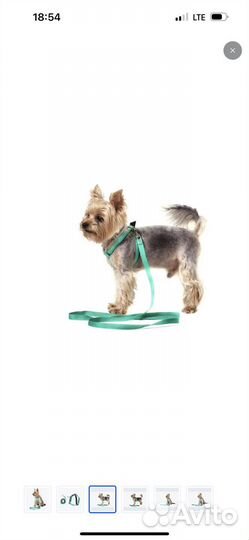 Шлейка(поводок) для кошек и маленьких собак