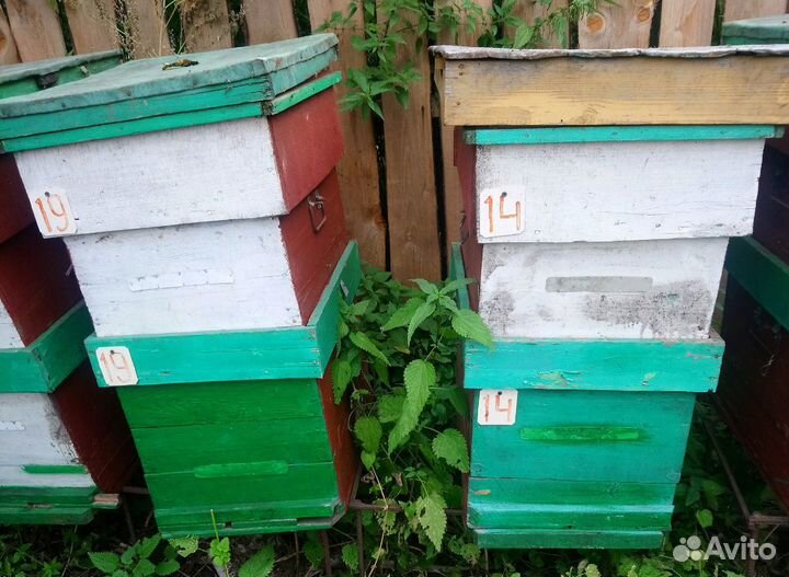 Ульи 2х корпусные