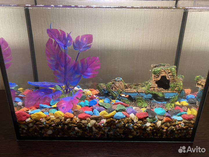 Аквариум