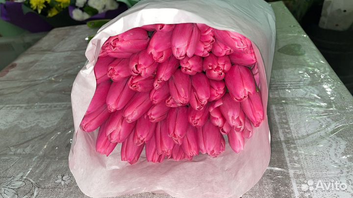 Тюльпаны по 20/25/50 штук розница