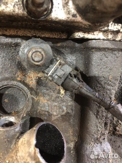 Двигатель ваз 16 клапанный блок 21083, гбц 21126