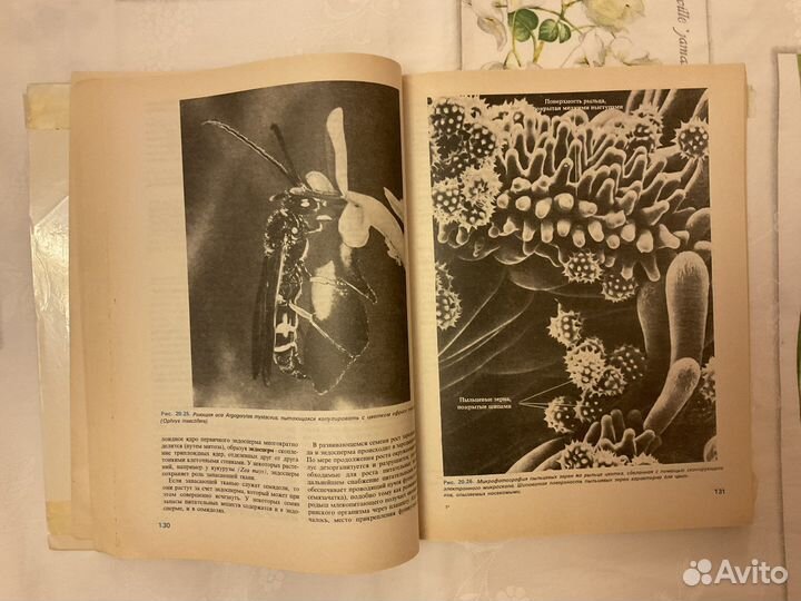 «Биология» 3 тома- Грин, Стаут, Тэйлор