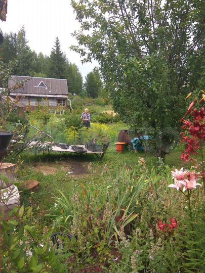 Дача 36 м² на участке 9 сот.