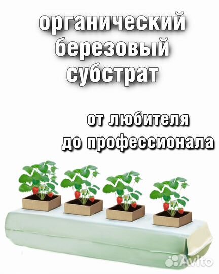 Березовый субстрат, грунт