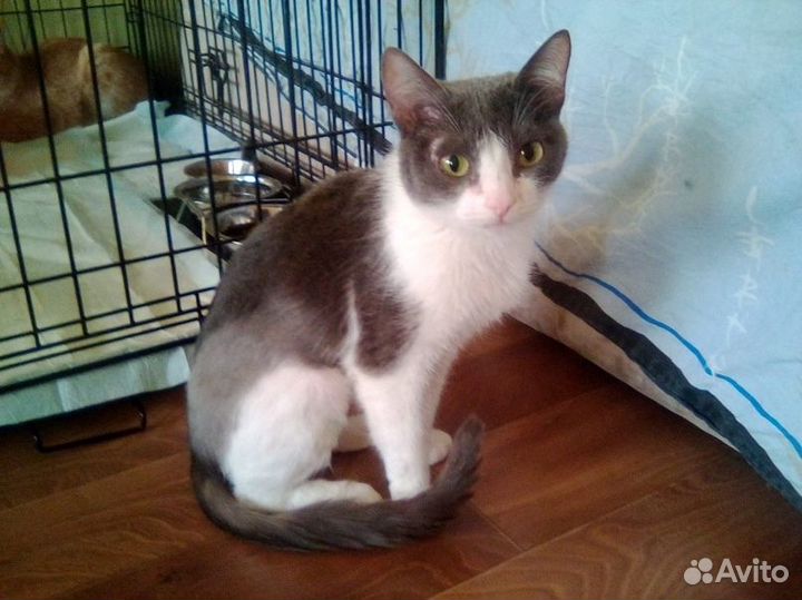 Малышка девочка Даша