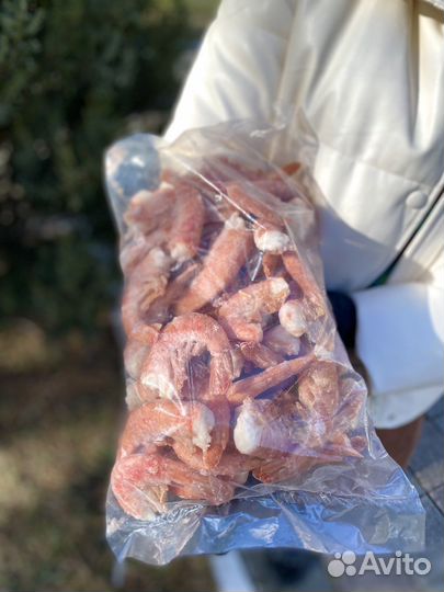 Креветки, лангустины доставка