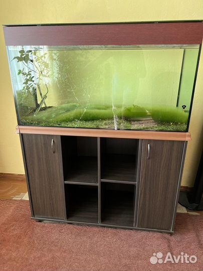 Аквариум с тумбой