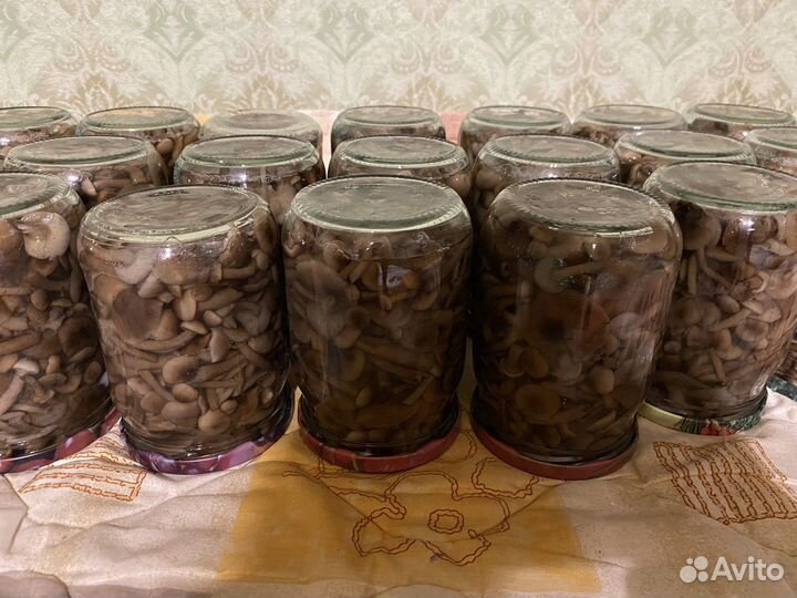 Грибы опята маринованные