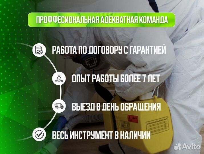 Дезинфекция Уничтожение тараканов, клопов, муравье