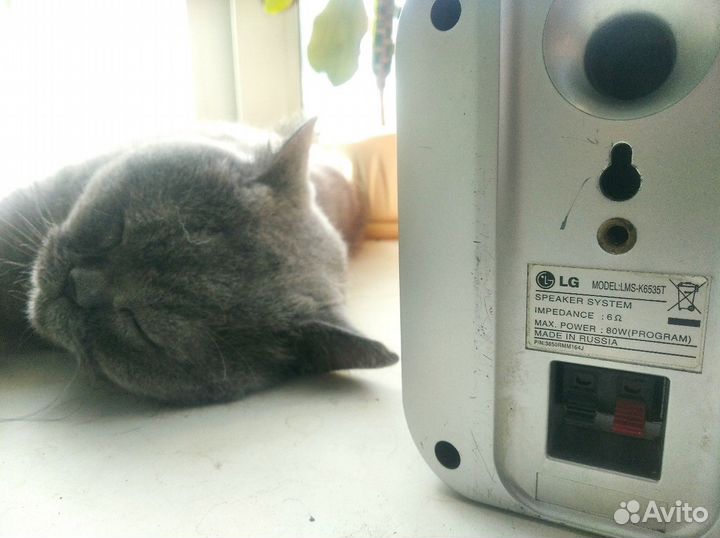 Колонки LG
