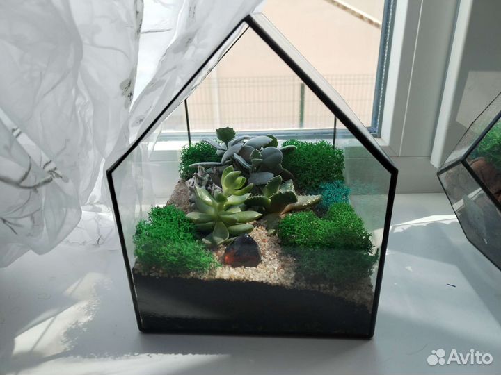 Флорариум дом