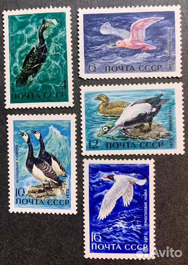 Марки СССР и зарубежные 1972 г