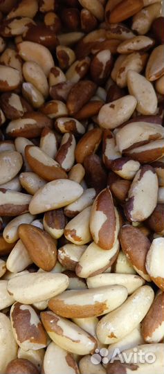 Бразильский орех свежий(прайс в описании)