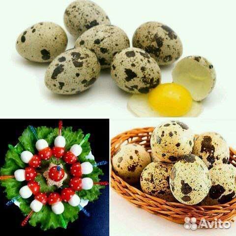 Яйца перепелиные домашние