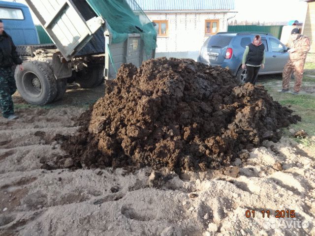 Перегной в грядки, доставка самосвалами