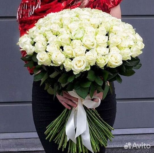 Букет роз 101 роза 51 роза