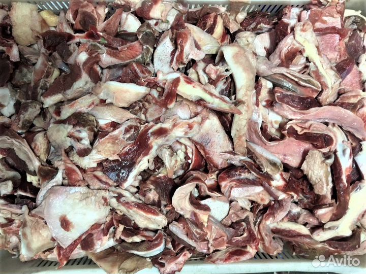 Мясная обрезь говяжья для собак