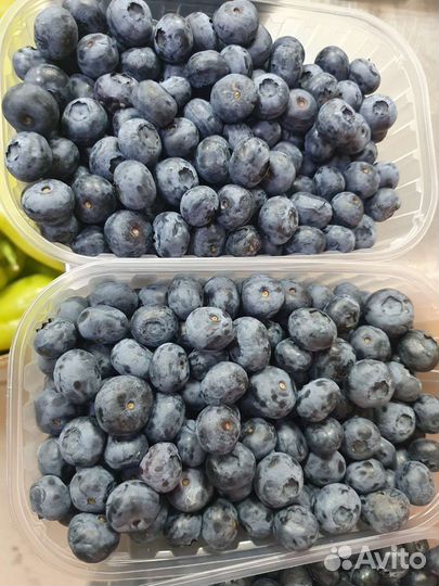 Голубика свежая