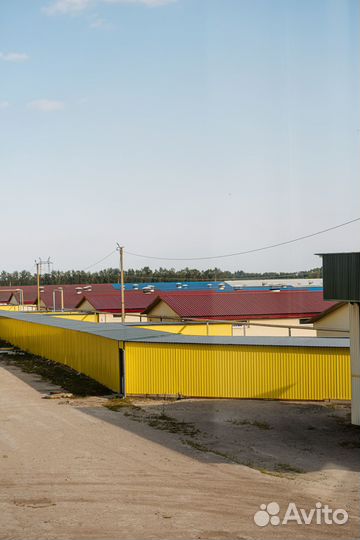 Действующий свинокомплекс